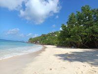 IMG_20221103_090443